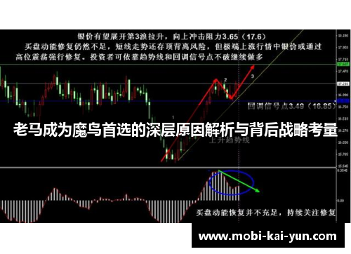 老马成为魔鸟首选的深层原因解析与背后战略考量