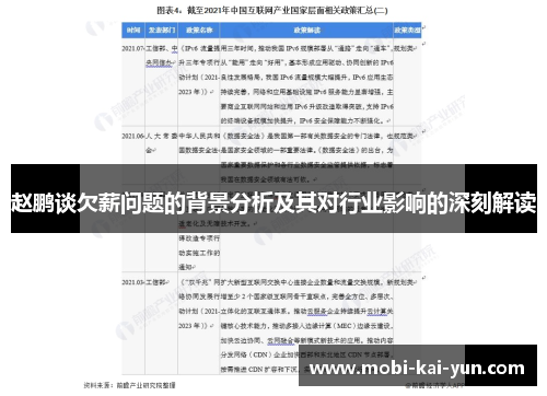 赵鹏谈欠薪问题的背景分析及其对行业影响的深刻解读