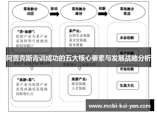 阿贾克斯青训成功的五大核心要素与发展战略分析 阿贾克斯青训成功的五大核心要素与发展战略分析