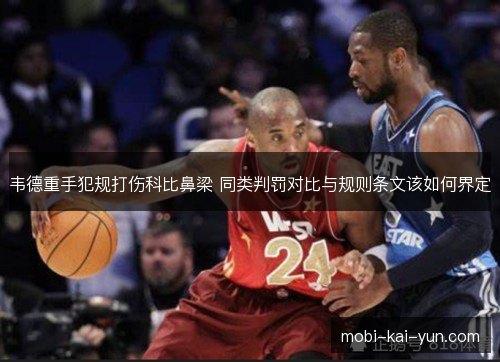 韦德重手犯规打伤科比鼻梁 同类判罚对比与规则条文该如何界定
